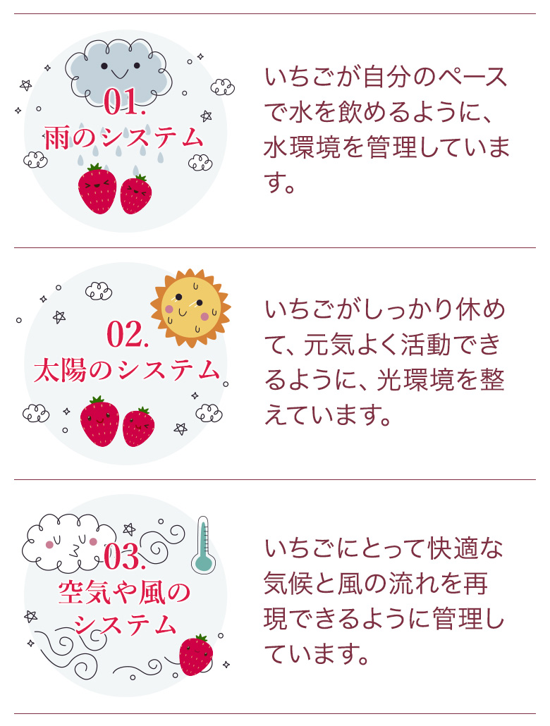 01.雨のシステム,02.太陽のシステム,03.空気や風のシステム