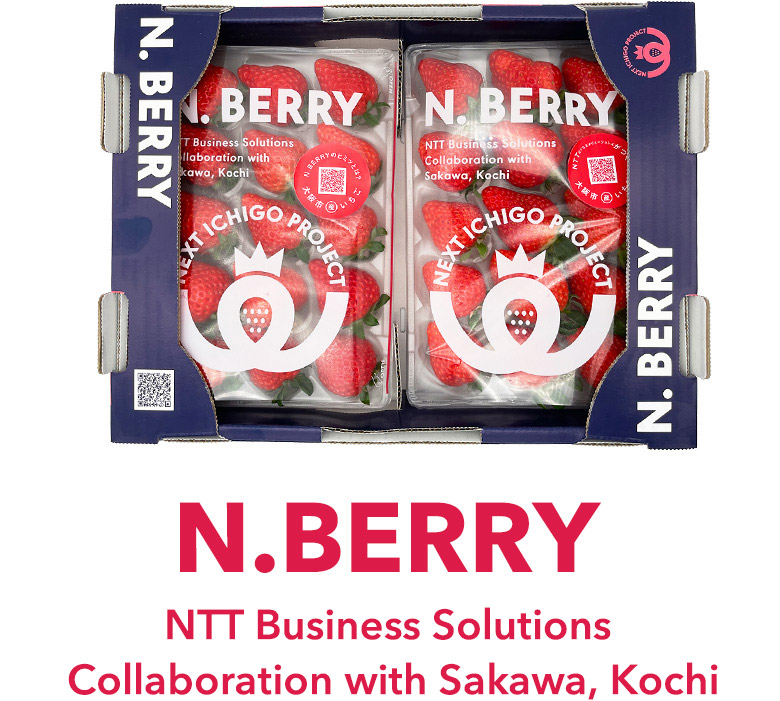 NTT Business Solutions
Collaboration with Sakawa, Koc